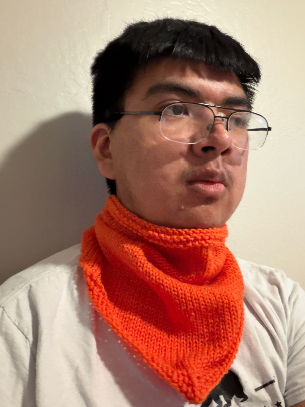 Pumpkin Patch Bandana Cowl - 100% Superwash Wool - Handknit Scarf